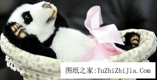 家居風(fēng)景：窗臺(tái)擺上美好愿望