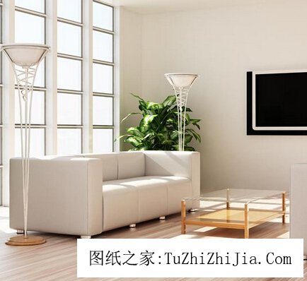 哪些家居擺設(shè)最不利于健康？