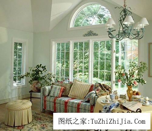 客廳放置的植物也會破壞風景