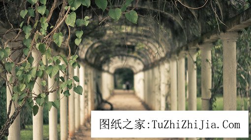 讓你家財(cái)萬(wàn)貫的院落風(fēng)景