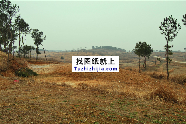 田總回歸田園-在老家自建房全過程。