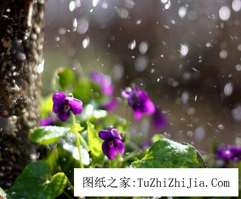 家財萬貫的風(fēng)景寶地擇選