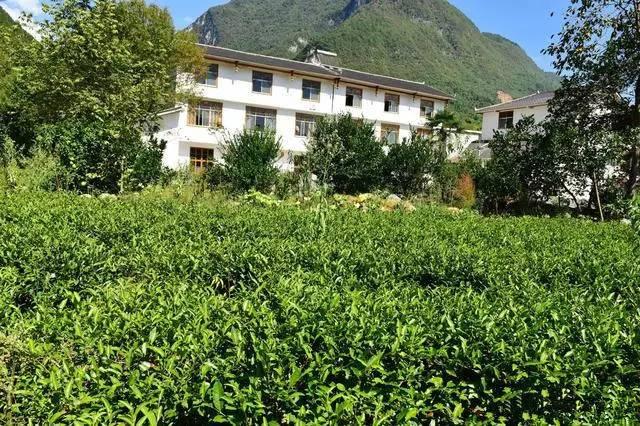 20萬建造的農(nóng)村小別墅-竟然比城市里面的好看！