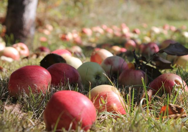 鄉(xiāng)村別墅設(shè)計(jì)與農(nóng)村別墅設(shè)計(jì)，差距不止有6點(diǎn)！