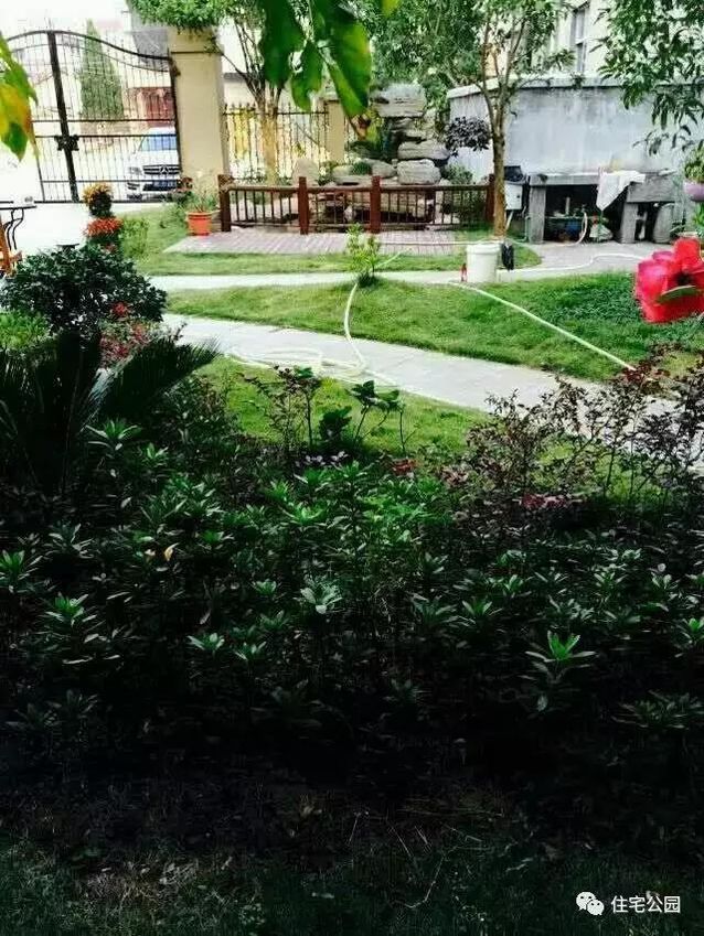 朋友曬美宅，96萬建流水花園別墅、舒適庭院！要多沒有多美！