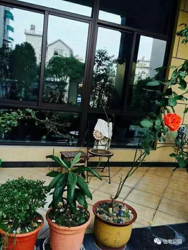 朋友曬美宅，96萬建流水花園別墅、舒適庭院！要多沒有多美！