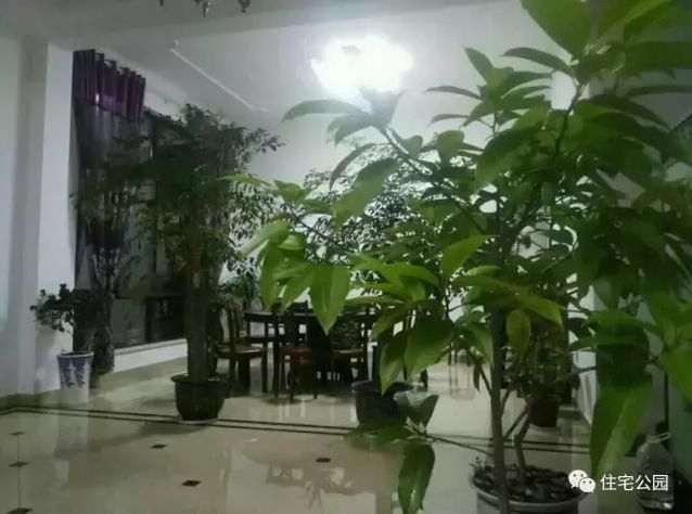 朋友曬美宅，96萬建流水花園別墅、舒適庭院！要多沒有多美！