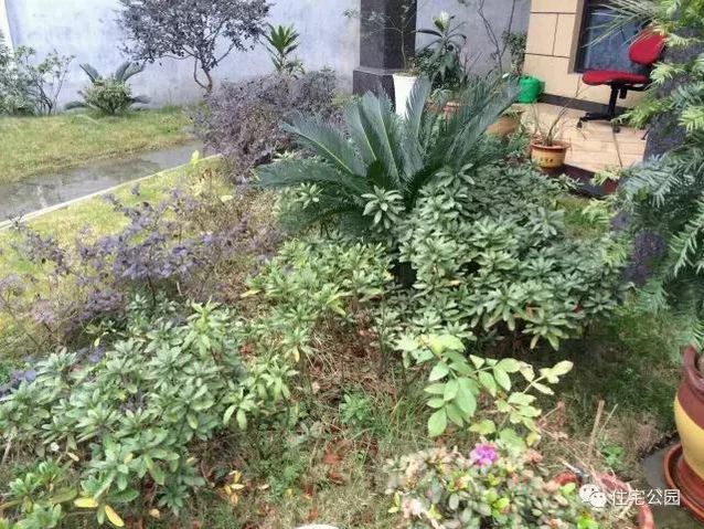 朋友曬美宅，96萬建流水花園別墅、舒適庭院！要多沒有多美！