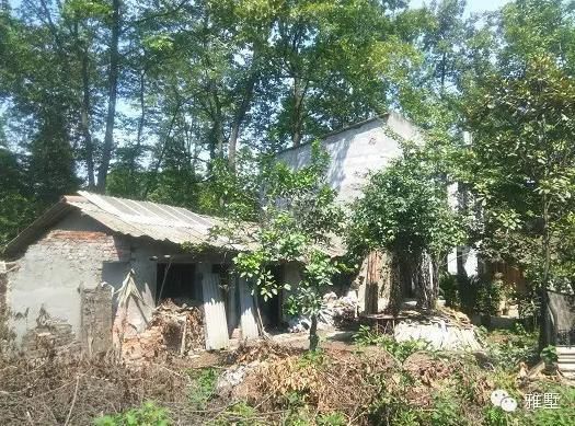 建別墅還是新中式的好，古樸大氣品位高！網(wǎng)友實(shí)拍