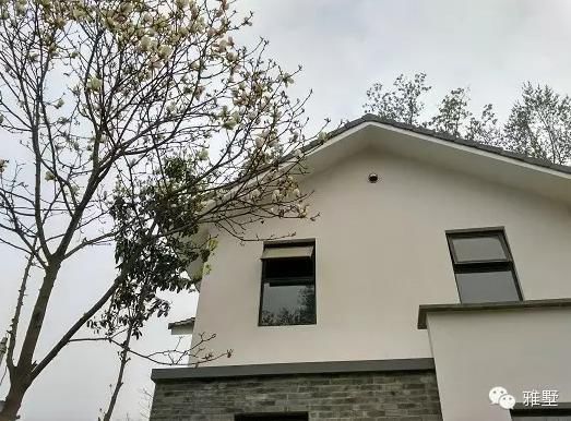 建別墅還是新中式的好，古樸大氣品位高！網(wǎng)友實(shí)拍