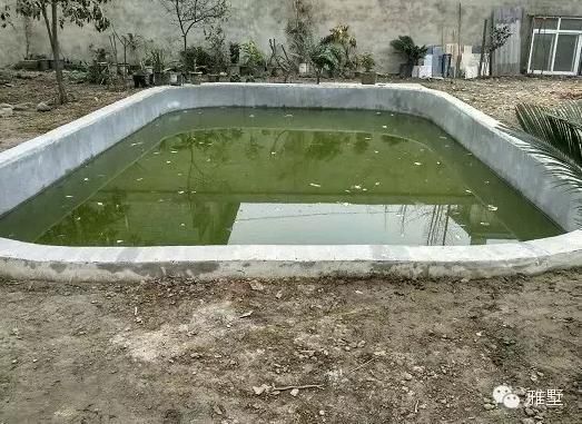 建別墅還是新中式的好，古樸大氣品位高！網(wǎng)友實(shí)拍