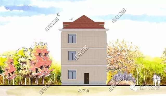 8米的面寬怎樣建獨棟小別墅？還帶有挑空客廳、大露臺