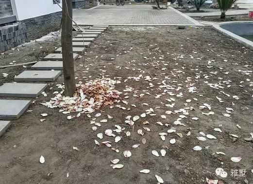 建房還是新中式的好，古樸大氣品位高！網(wǎng)友實(shí)拍