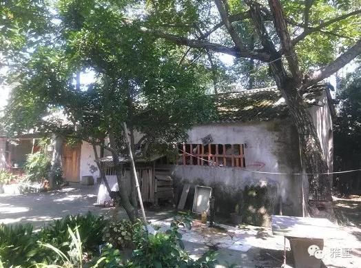 建房還是新中式的好，古樸大氣品位高！網(wǎng)友實(shí)拍