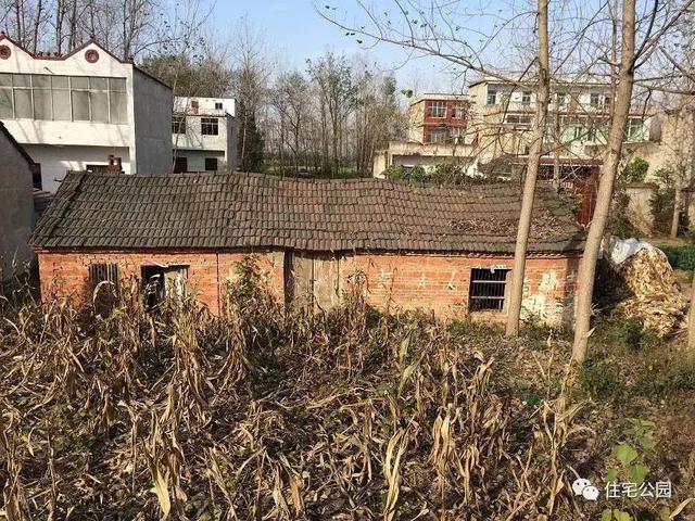 80后小伙千里歸家建新房，力求完美換掉施工隊，只是為了面子？