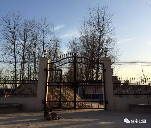 80后小伙千里歸家建新房，力求完美換掉施工隊，只是為了面子？