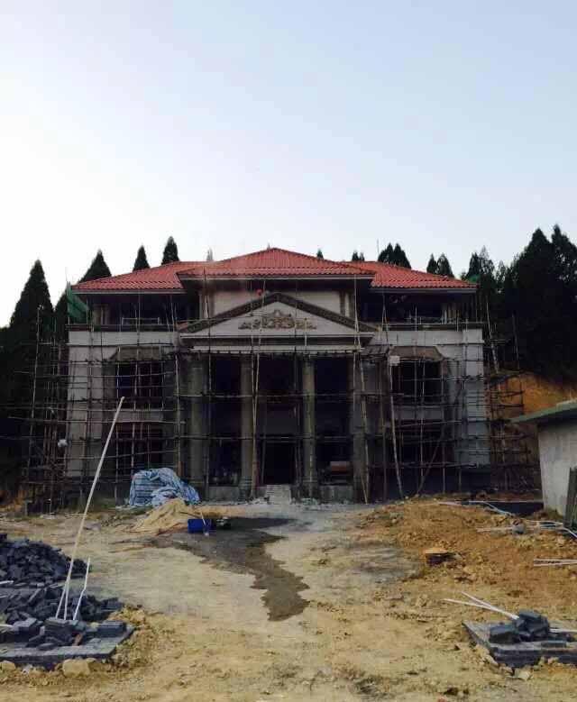 別墅配上歐式構(gòu)件檔次就高了, 沒(méi)幾百萬(wàn)下不來(lái)！