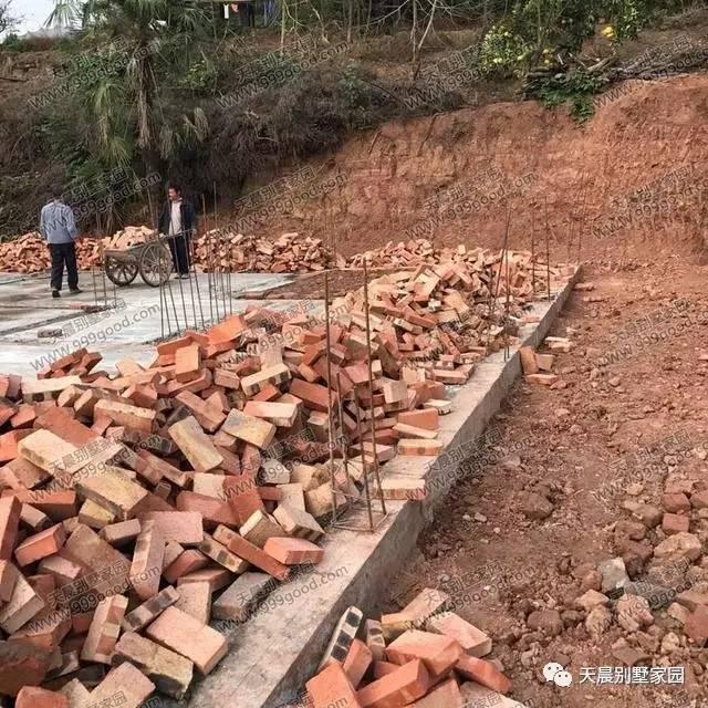 自從蓋了這套歐式別墅設(shè)計(jì)，親戚鄰居來的就勤了！