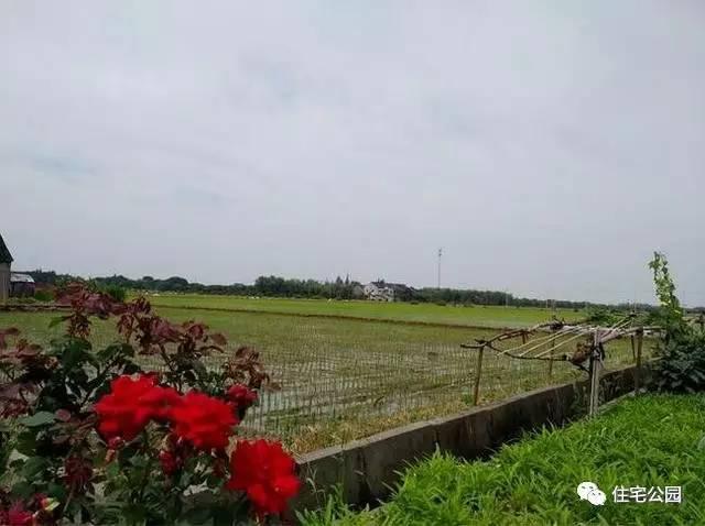 不顧家人阻攔硬是拆掉老宅，自建美式別墅，所有人都羨慕不已！