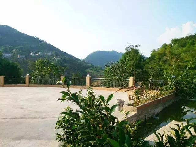 主體30萬(wàn)建出來(lái)的農(nóng)村小別墅竟然長(zhǎng)這樣，真是360度無(wú)死角！