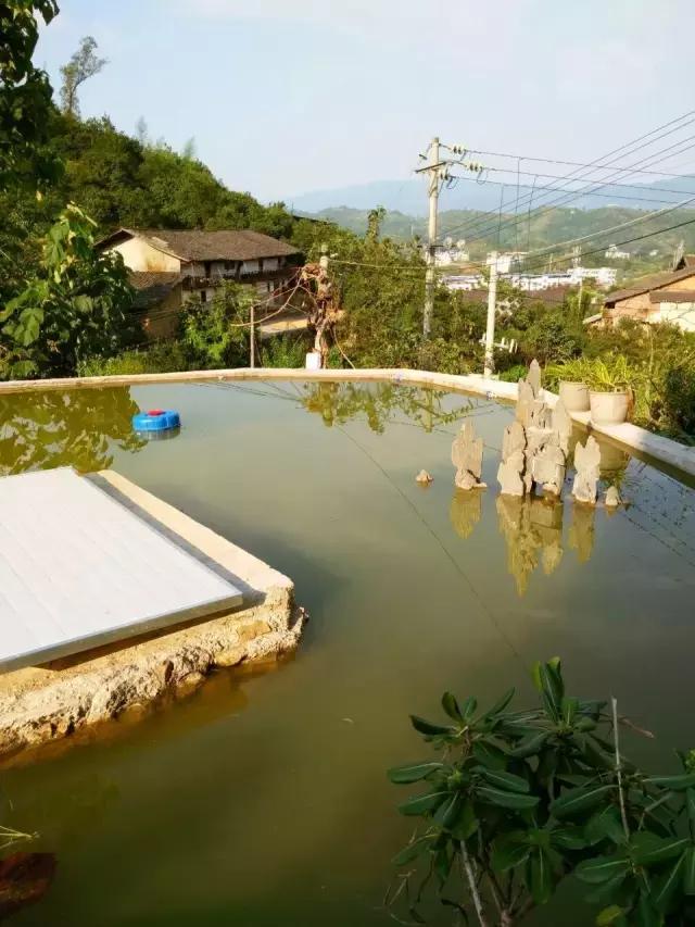 主體30萬(wàn)建出來(lái)的農(nóng)村小別墅竟然長(zhǎng)這樣，真是360度無(wú)死角！