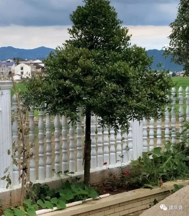 百萬(wàn)自建三層農(nóng)村別墅設(shè)計(jì)方案，建成后是村里最好的！