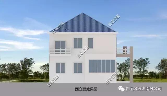 農(nóng)村自建二層實用小洋樓設(shè)計，外觀精致，布局合理！