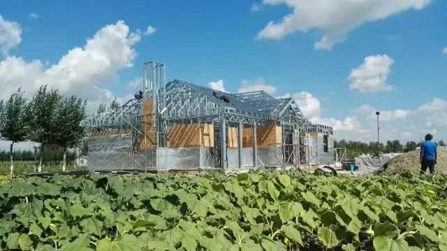 北方農(nóng)村自建單層小別墅設(shè)計(jì)圖，美到不能呼吸！