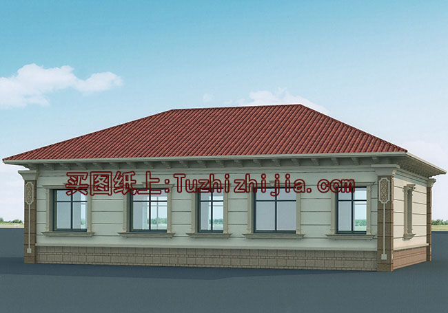 時尚一層別墅圖，一層這樣蓋房最漂亮