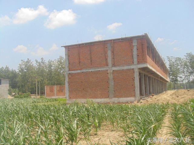 農村自建房的注意啦，違法自建房可能會被沒收