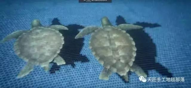 全球頂級豪宅圖片，有錢都不一定能買到