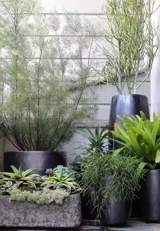 打造個(gè)漂亮的別墅庭院，才能有別墅的樣子