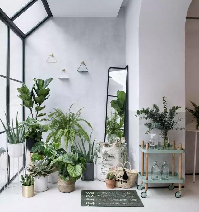 上海舊房改造實拍，搖身一變成清新別墅