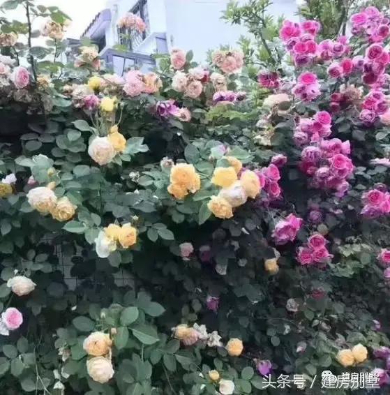 農(nóng)村簡單二層住宅實(shí)拍圖，附室內(nèi)裝修，造價低