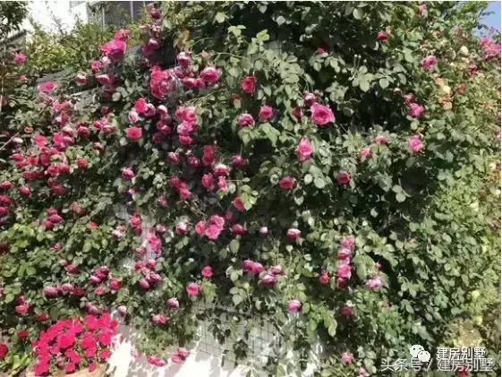 農(nóng)村簡單二層住宅實(shí)拍圖，附室內(nèi)裝修，造價低