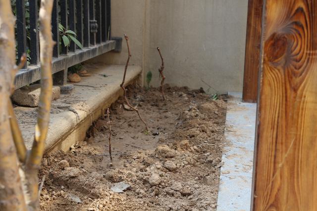 美式別墅豪宅裝修設(shè)計(jì)方案圖片，還帶小院子