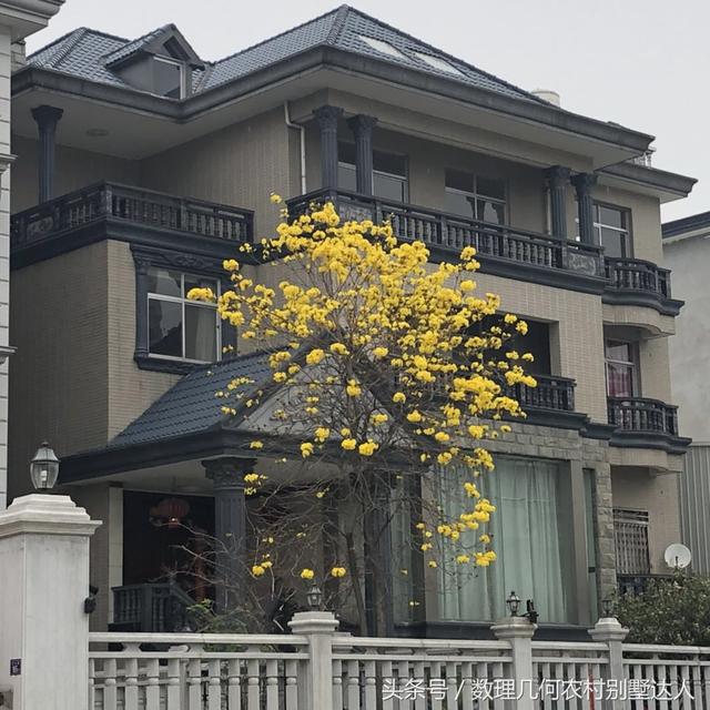 新農(nóng)村自建的3層樓房，在城市1000萬都買不到