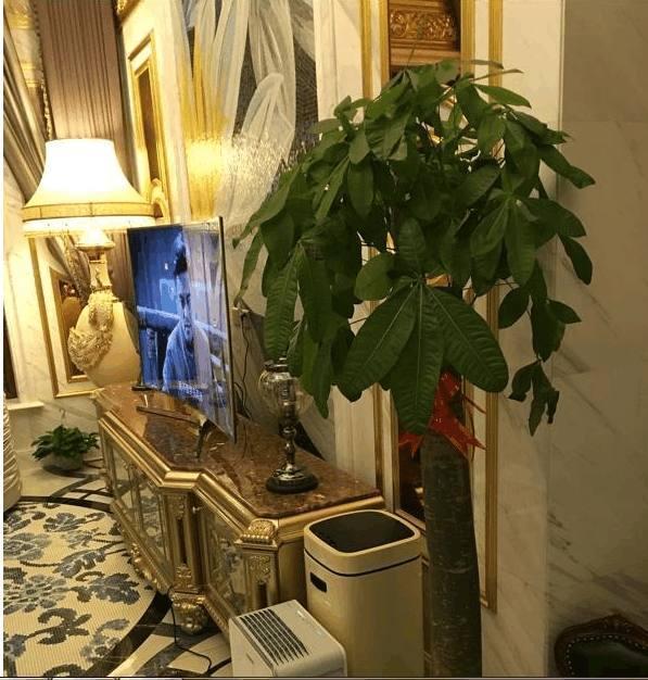 這才是有錢人家的別墅，裝修就花了二百萬