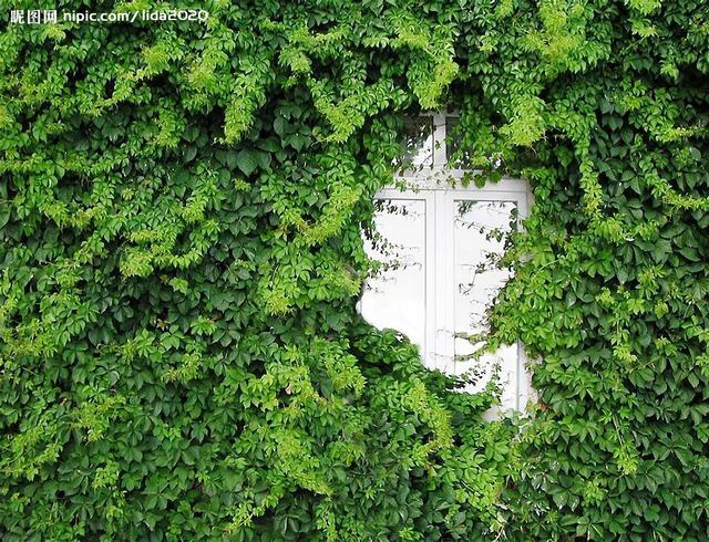 農(nóng)村住別墅要注意的一些風(fēng)景