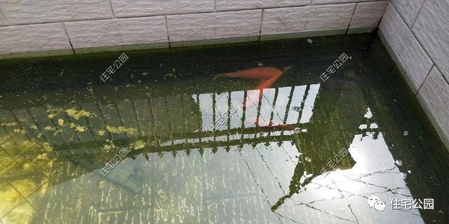 湖南農(nóng)村蓋別墅過程實(shí)拍，附方案圖和建好實(shí)景照片