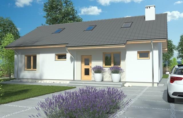 一層坡屋頂平房住宅設(shè)計(jì)效果圖，簡(jiǎn)單、現(xiàn)代