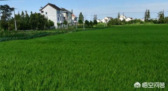 已經(jīng)建好的農(nóng)村自建房沒(méi)手續(xù)怎么辦？