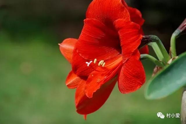 24x14m歐式鄉(xiāng)村別墅設(shè)計方案圖，高端、大氣