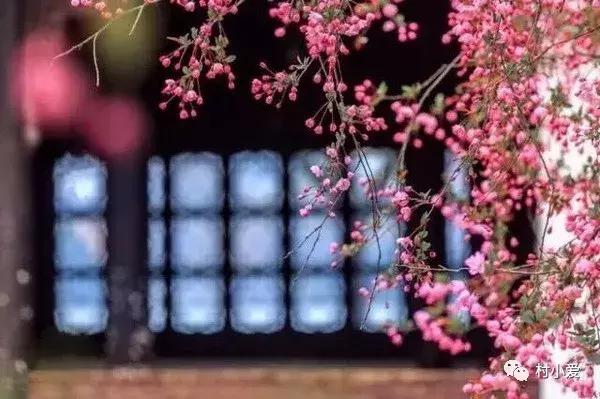 24x14m歐式鄉(xiāng)村別墅設(shè)計方案圖，高端、大氣