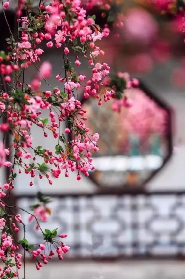 24x14m歐式鄉(xiāng)村別墅設(shè)計方案圖，高端、大氣