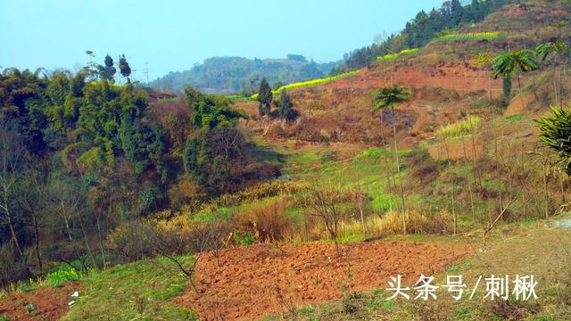 2024年農(nóng)村自建房用地審批手續(xù)要這樣辦
