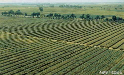 農(nóng)民朋友要注意，這些地方不能隨意自建房