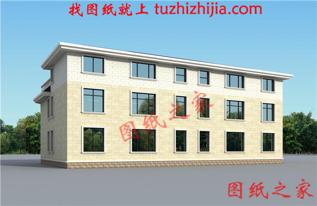 農(nóng)村二層半雙拼別墅設(shè)計(jì)圖，客廳中空，帶大露臺(tái)