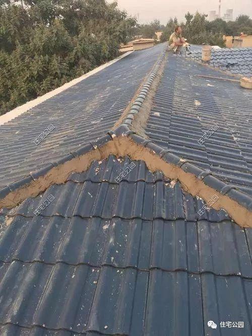 河北農村蓋別墅直播，羨慕死城里人