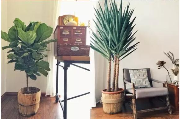 鄉(xiāng)村舊二層樓房改造，改成文藝青年小公寓